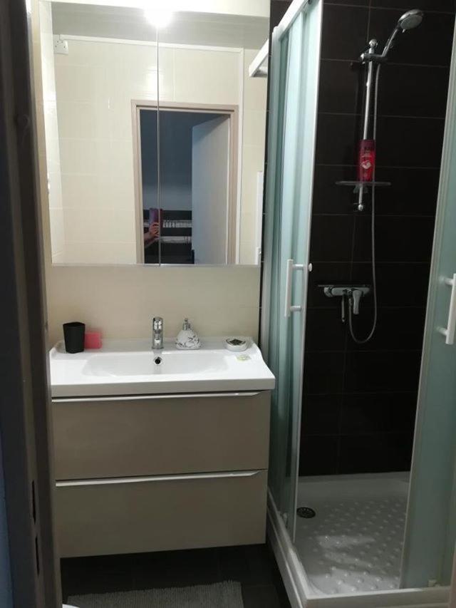 Studio Cabine Vue Port Avec Parking Prive, Piscine, Parc, Boulodrome Agde Luaran gambar